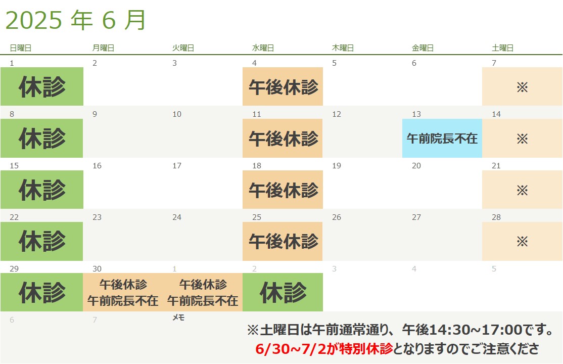 6月の診療スケジュール