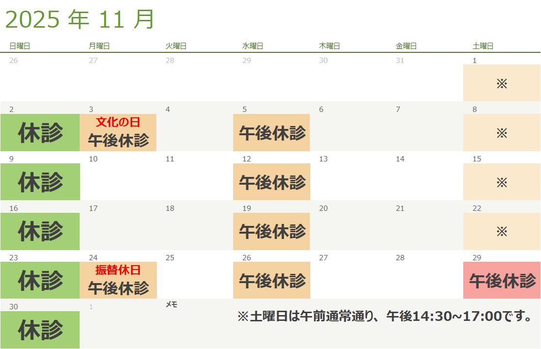 11月の診療スケジュール