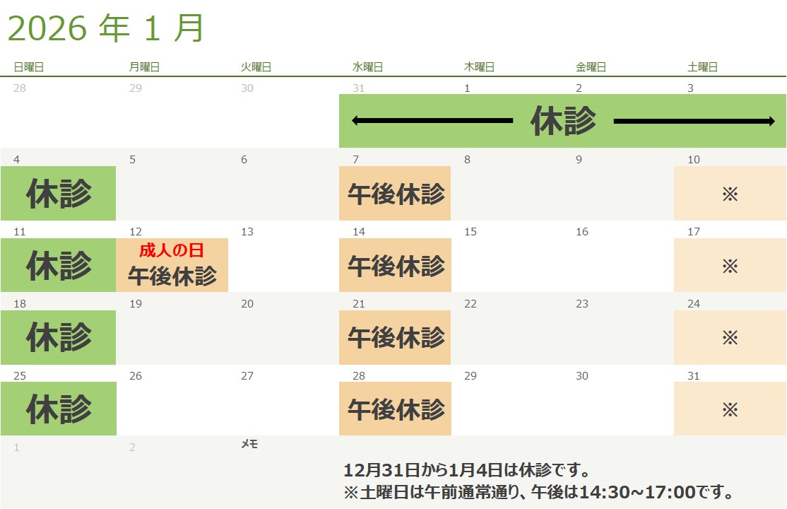 1月の診療スケジュール