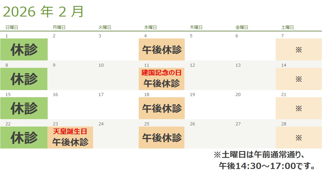 2月の診療スケジュール