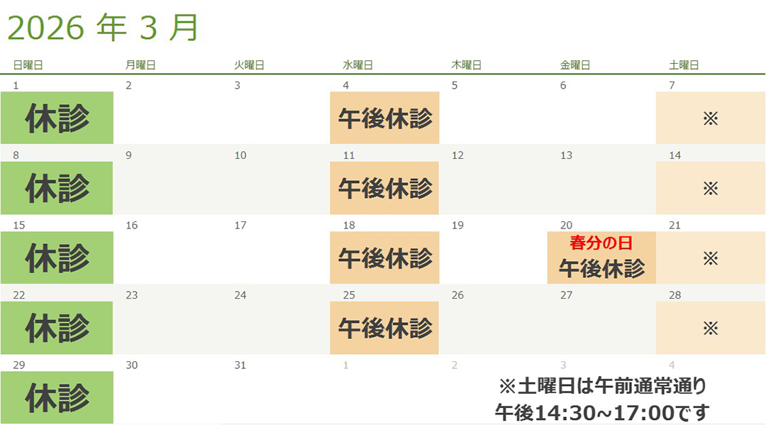 3月の診療スケジュール